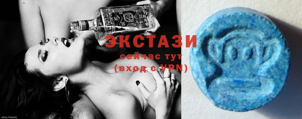 spice Богородицк