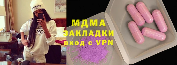spice Богородицк