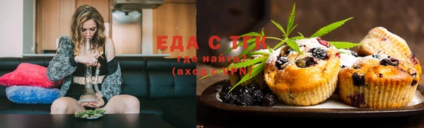 spice Богородицк