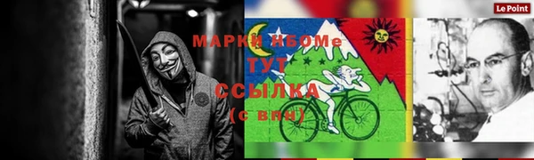 spice Богородицк