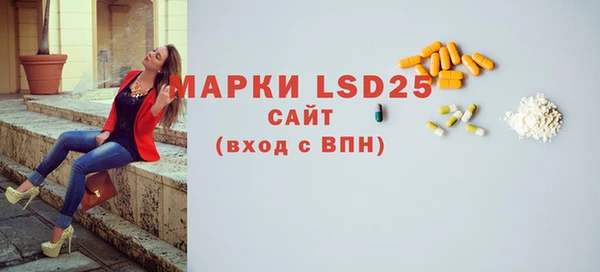 spice Богородицк