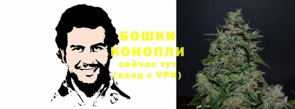 spice Богородицк