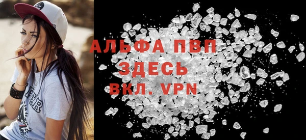 spice Богородицк