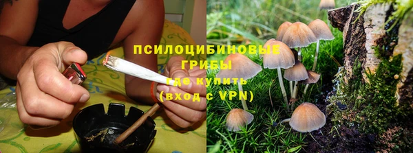 spice Богородицк