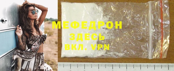 spice Богородицк