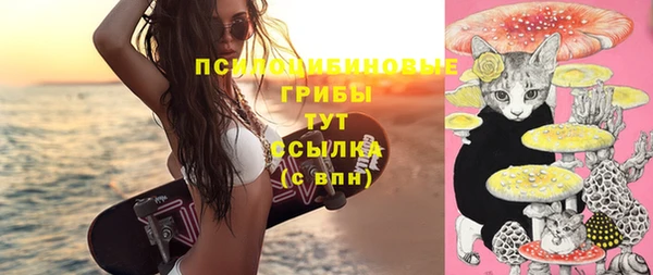 spice Богородицк