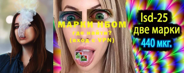 spice Богородицк