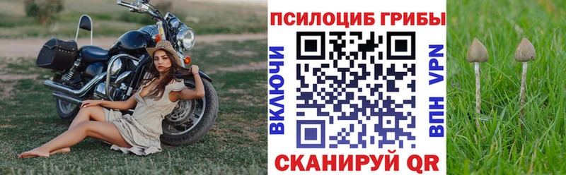 где найти   Минеральные Воды  Галлюциногенные грибы мухоморы 